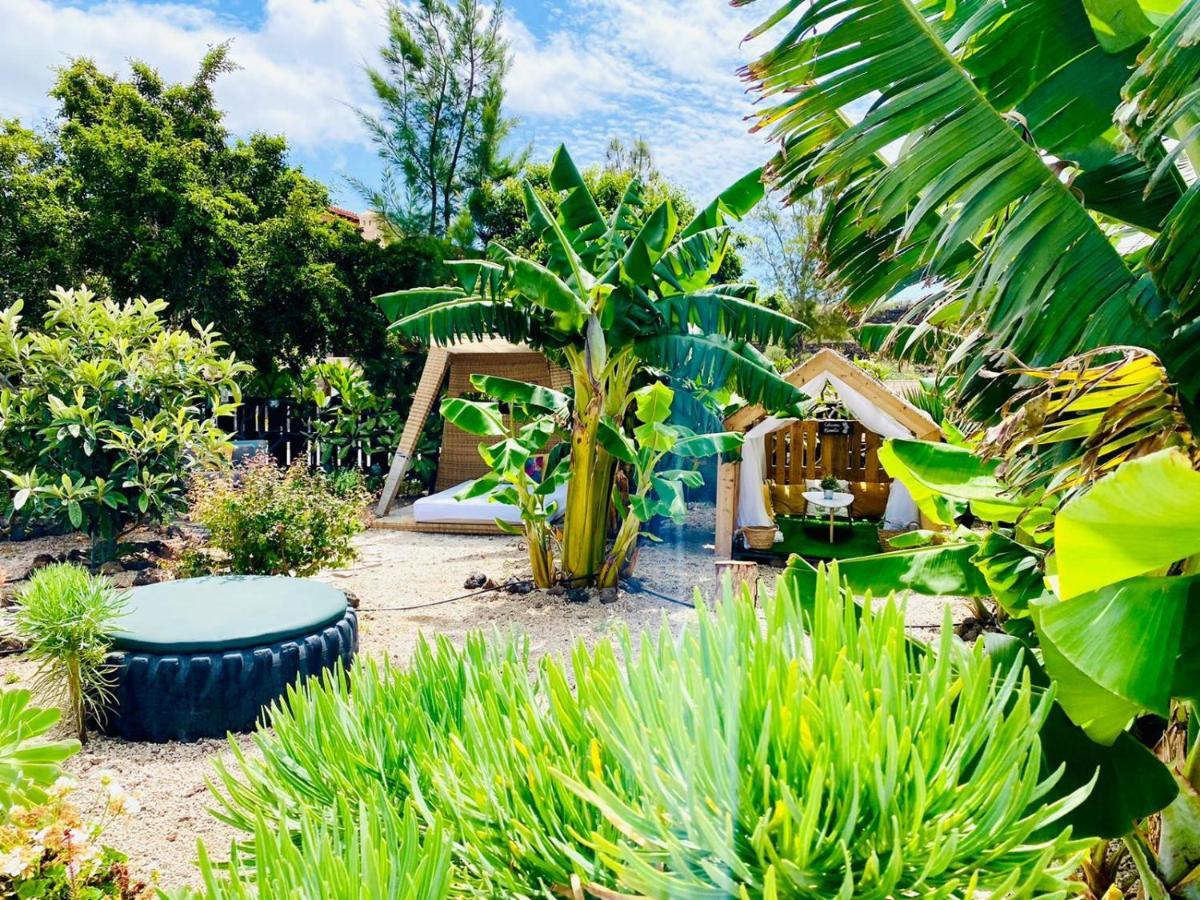 Alisios Hot Tub, Piscina Y Naturaleza Buzanada 외부 사진